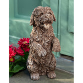 Photo of Campania Cooper - Exclusively Campania